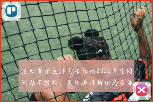 厄瓜多尔主帅贝卡切切2026年合同到期不续约，足协选帅新动态与球队未来分析