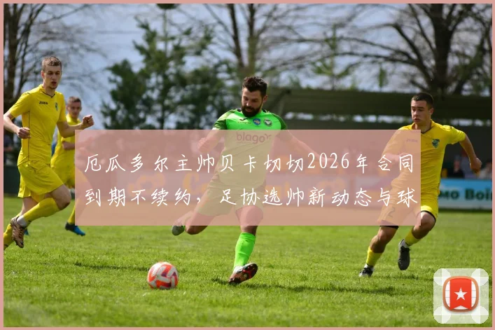 厄瓜多尔主帅贝卡切切2026年合同到期不续约，足协选帅新动态与球队未来分析